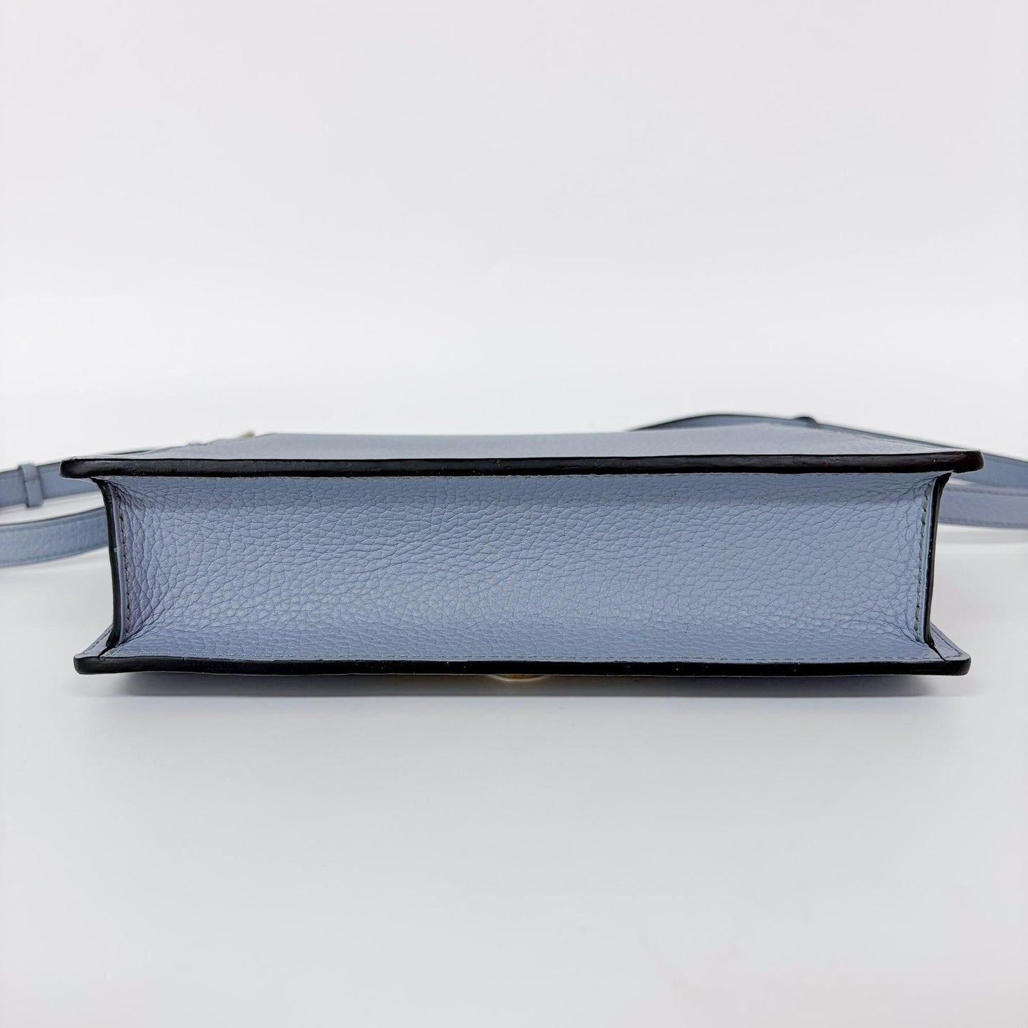 Moynat Leather Crossbody Bag Sky Blue