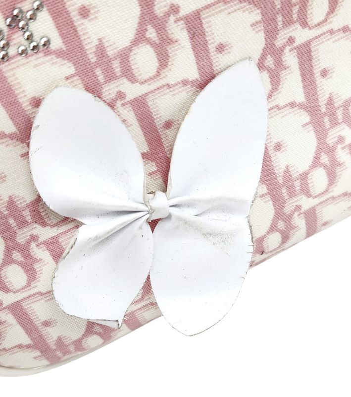 Dior Pink Oblique Trotter