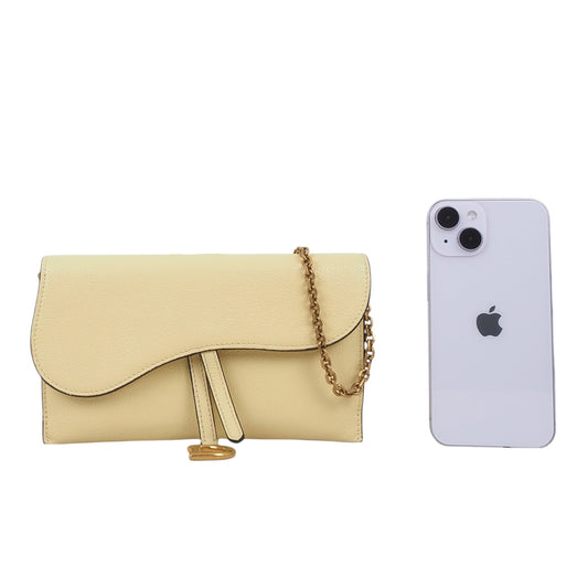 Dior S5614CCEH Saddle WOC Chain Crossbody Bag