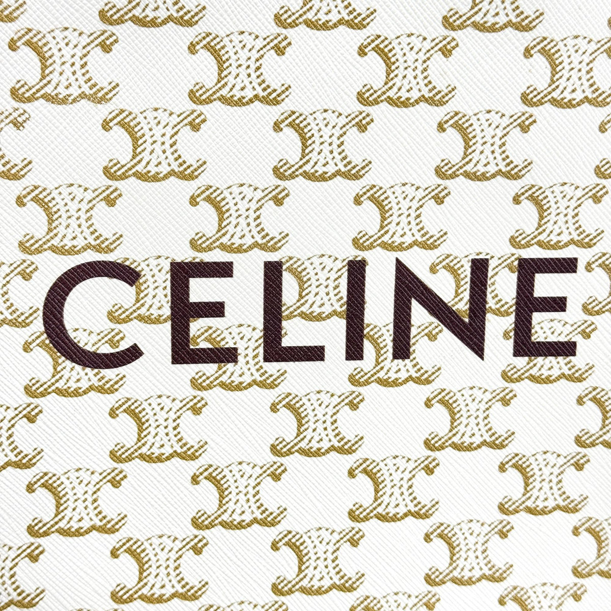 Celine Mini Vertical Cabas Triomphe Canvas White