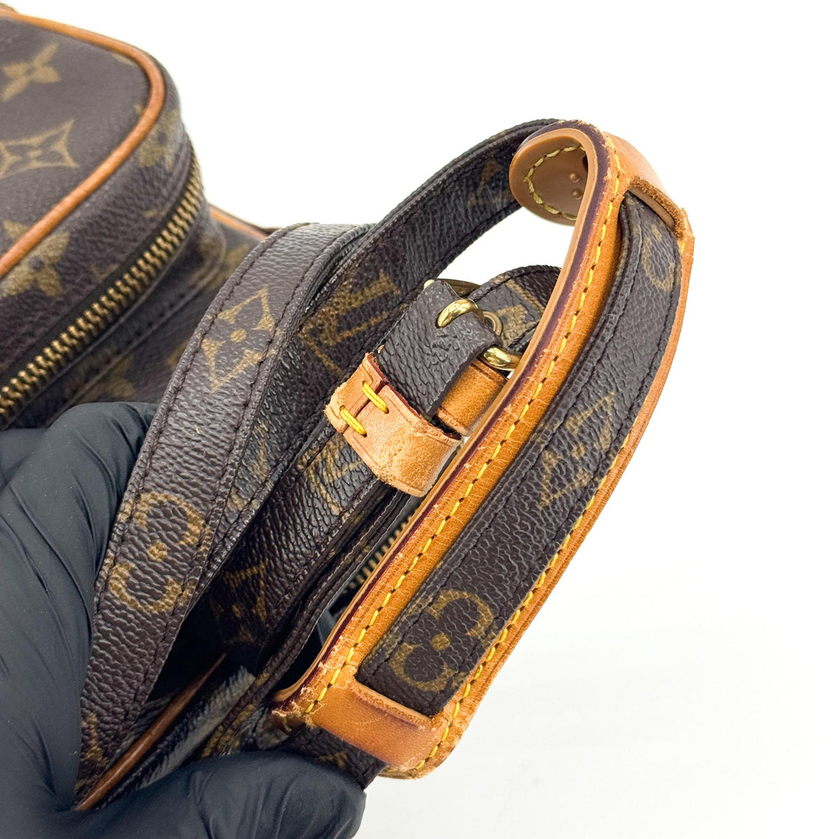 Louis Vuitton Monogram Amazon Crossbody Bag