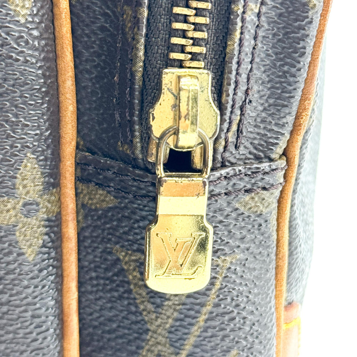 Louis Vuitton Monogram Amazon Crossbody Bag