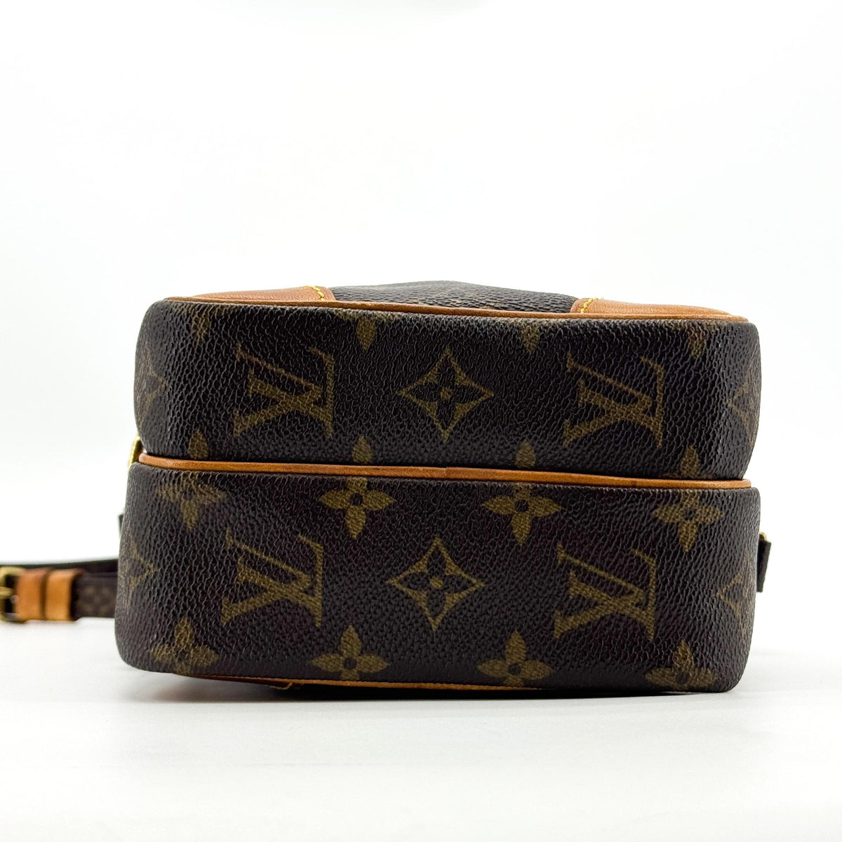 Louis Vuitton Monogram Amazon Crossbody Bag