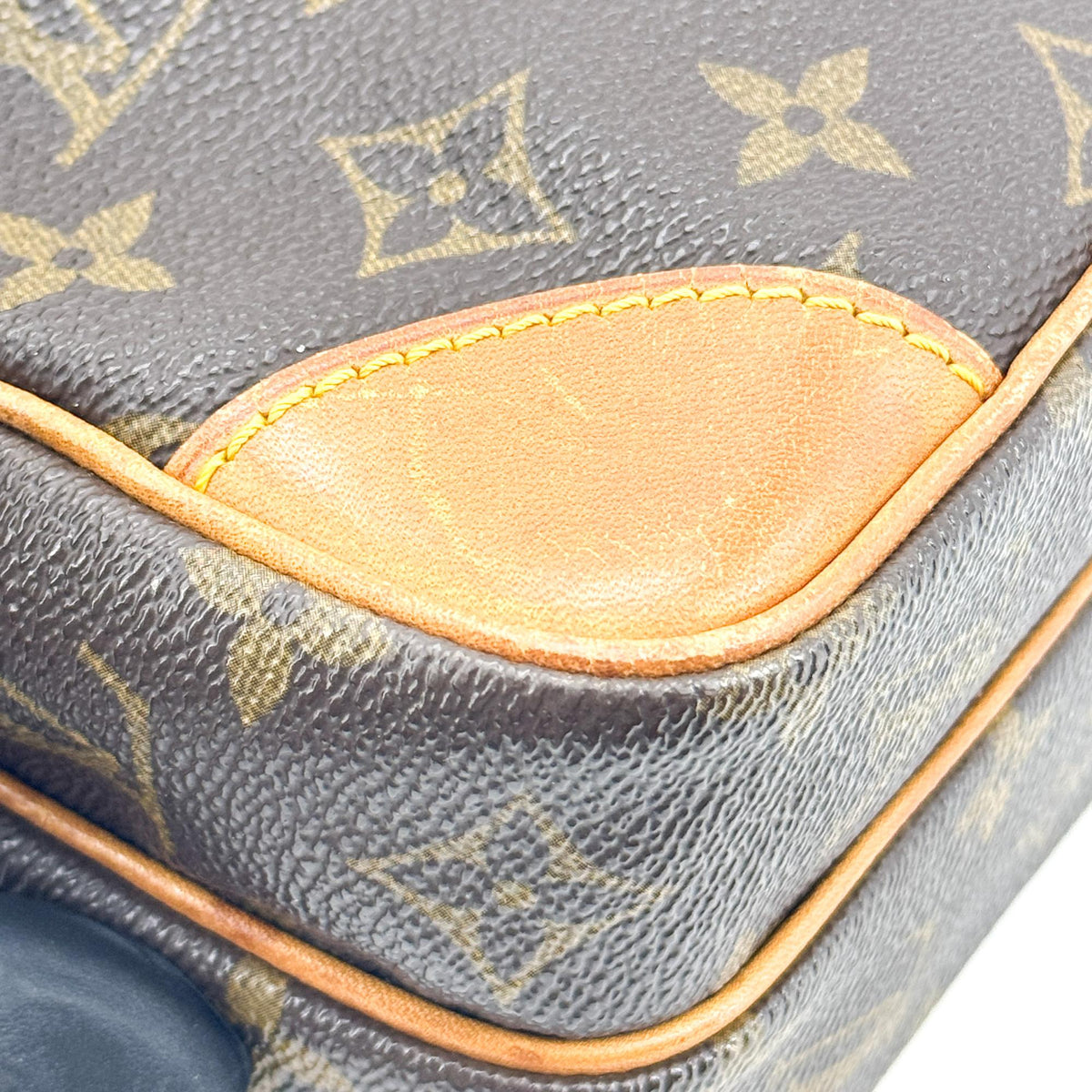 Louis Vuitton Monogram Amazon Crossbody Bag