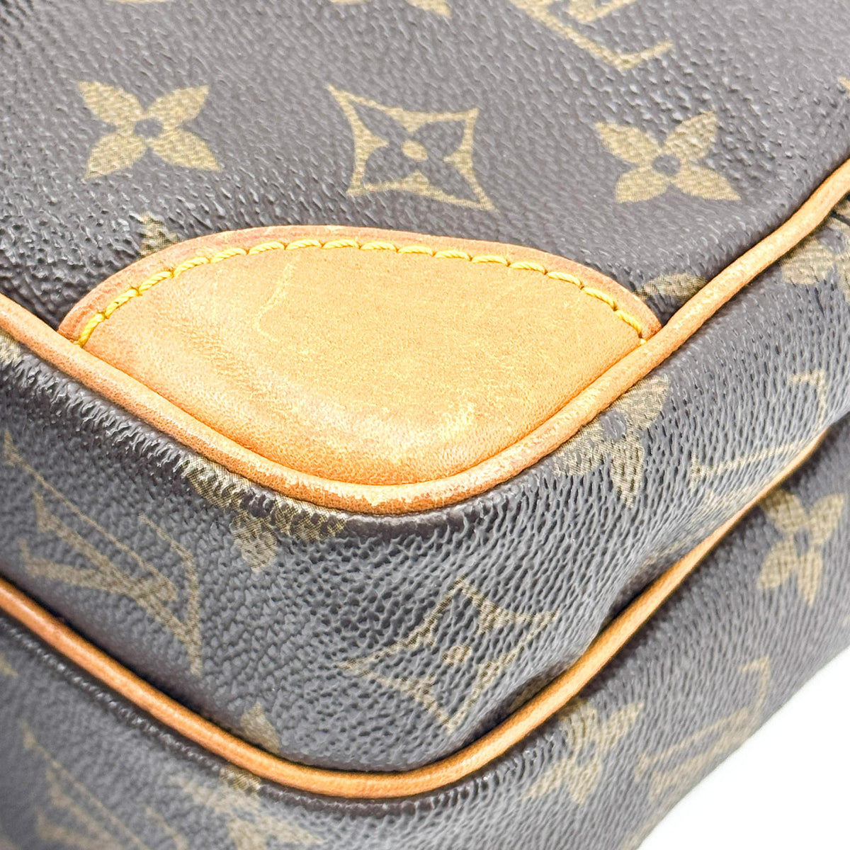 Louis Vuitton Monogram Amazon Crossbody Bag