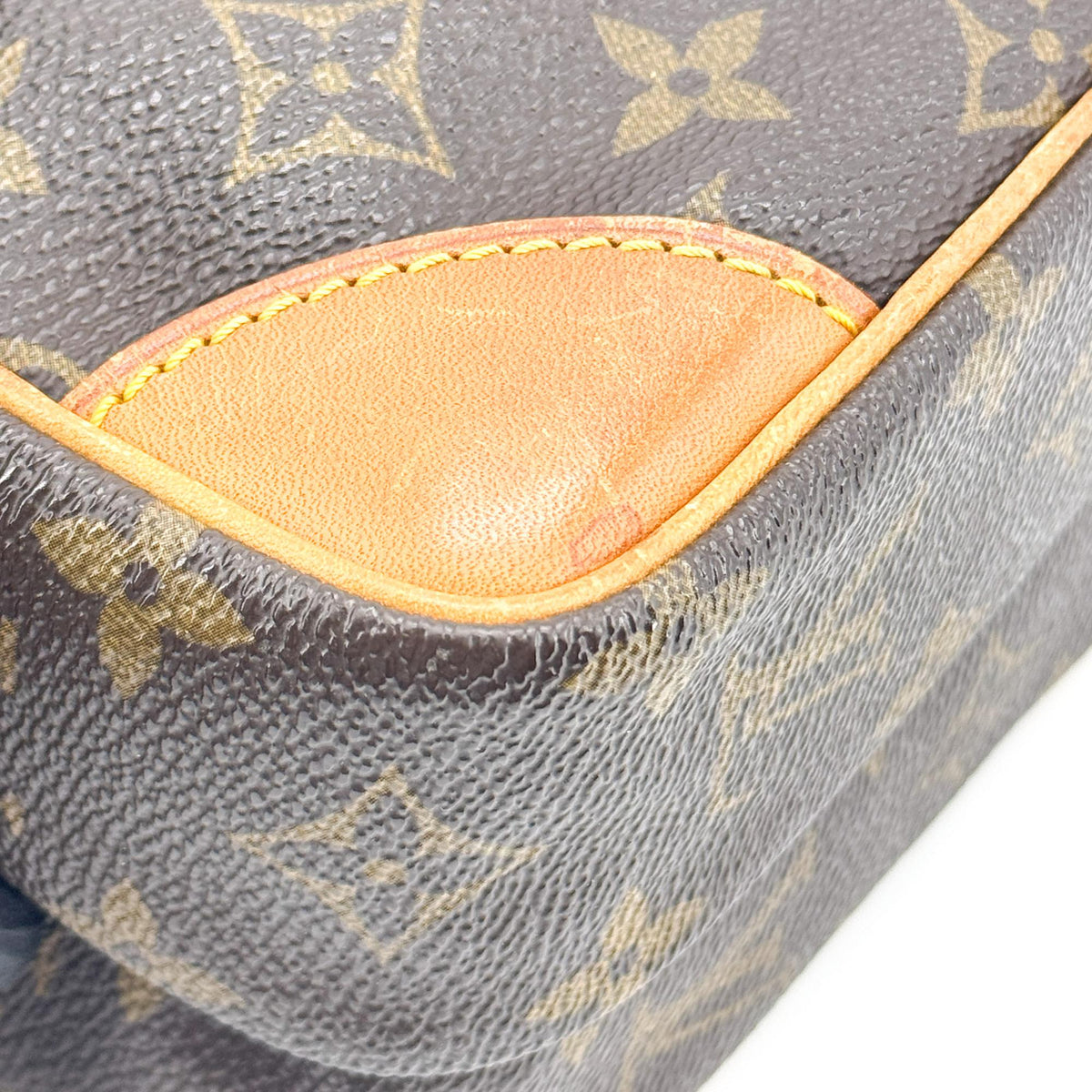 Louis Vuitton Monogram Amazon Crossbody Bag