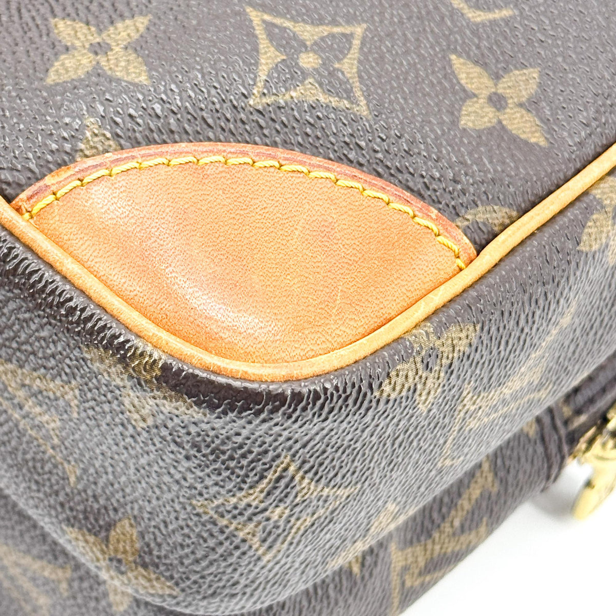 Louis Vuitton Monogram Amazon Crossbody Bag
