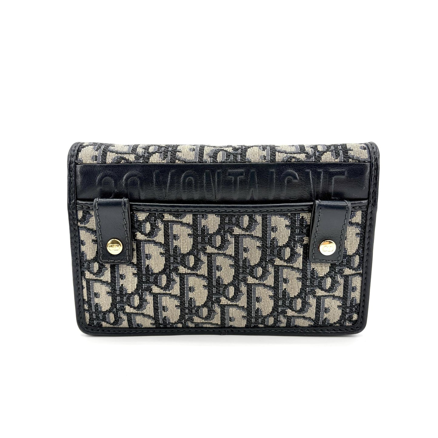 Dior 30 Montaigne Two-in-One Pouch Blue Dior Oblique Jacquard