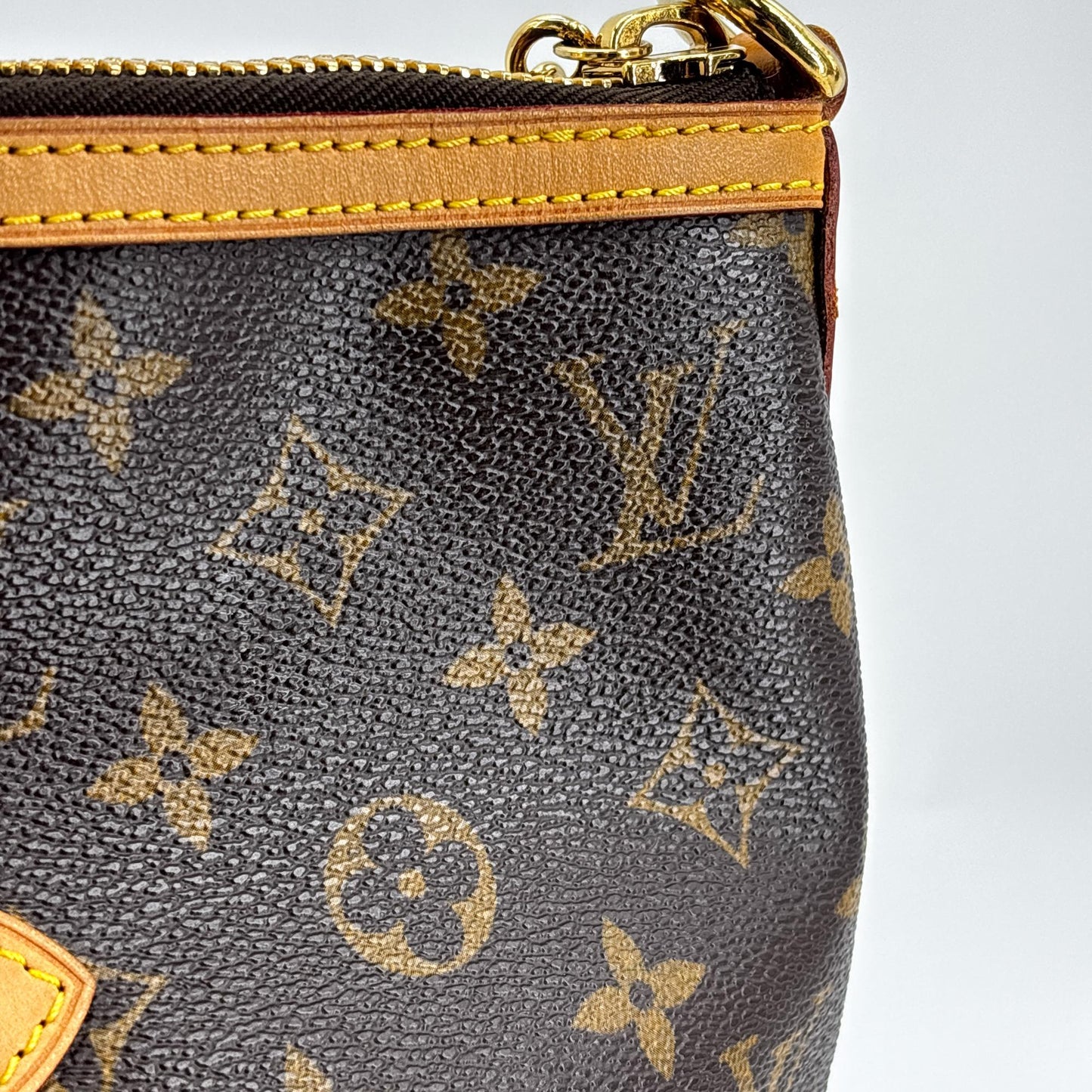 Louis Vuitton Monogram Palermo PM