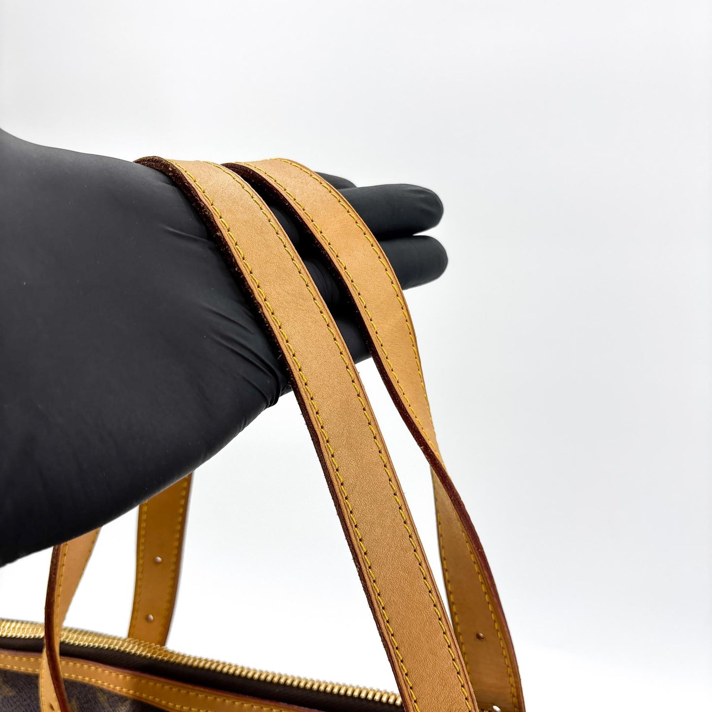 Louis Vuitton Monogram Palermo PM