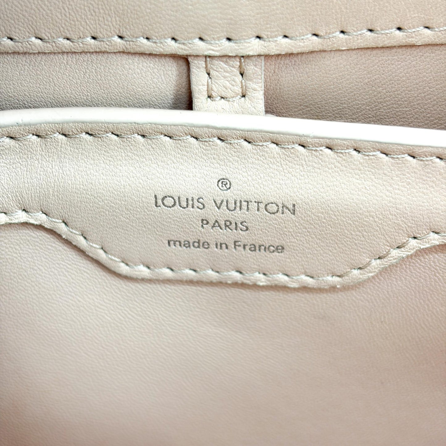 Louis Vuitton Capucines Mini Torrillon Rose Pondicher
