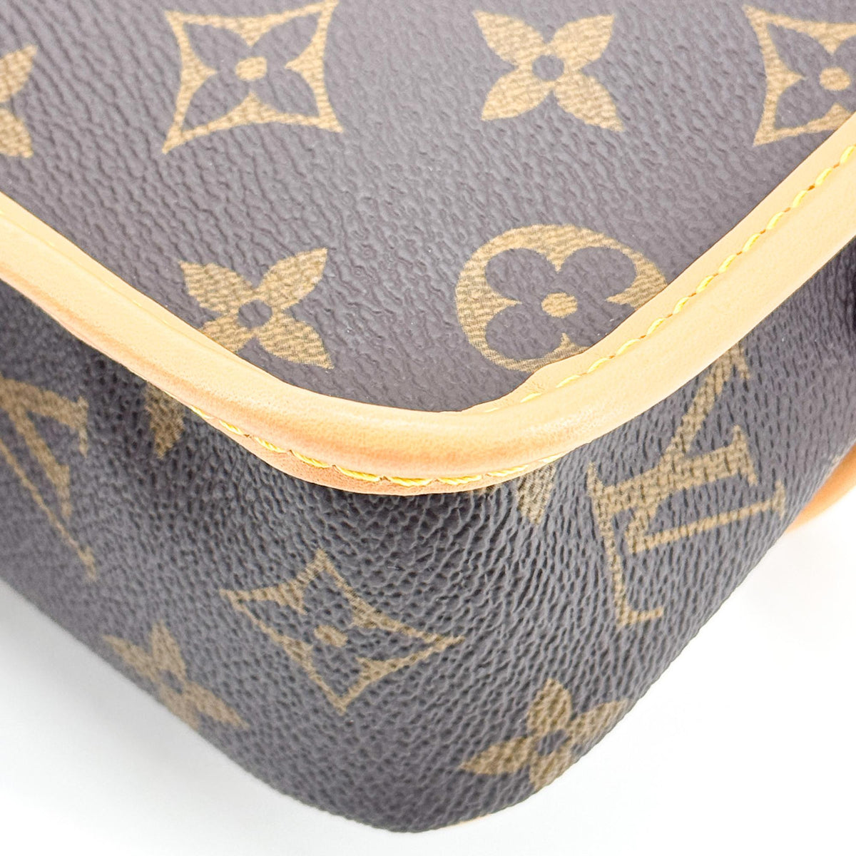 Louis Vuitton Nano Diane Monogram Bag