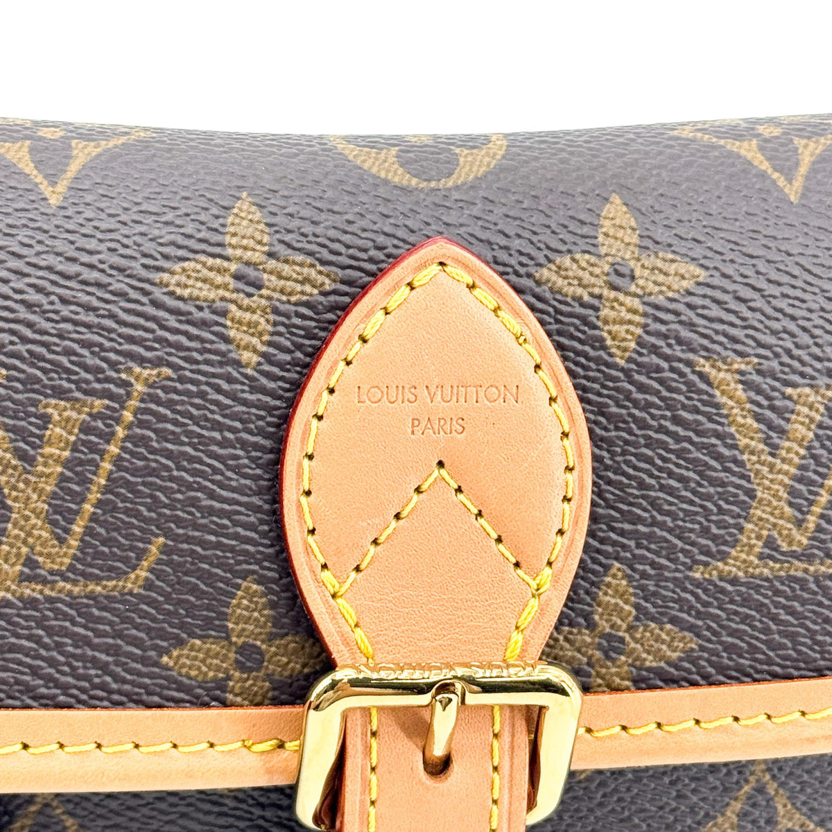 Louis Vuitton Nano Diane Monogram Bag