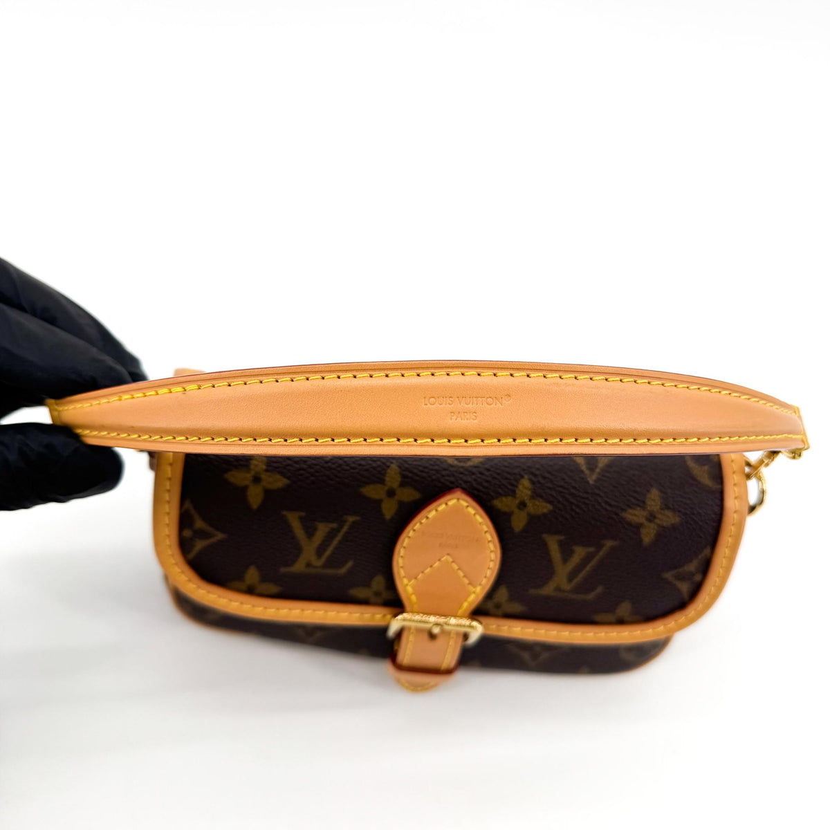 Louis Vuitton Nano Diane Monogram Bag