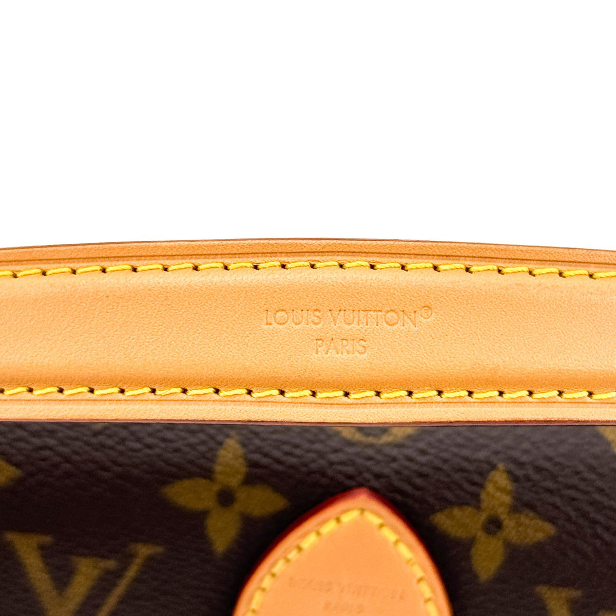 Louis Vuitton Nano Diane Monogram Bag