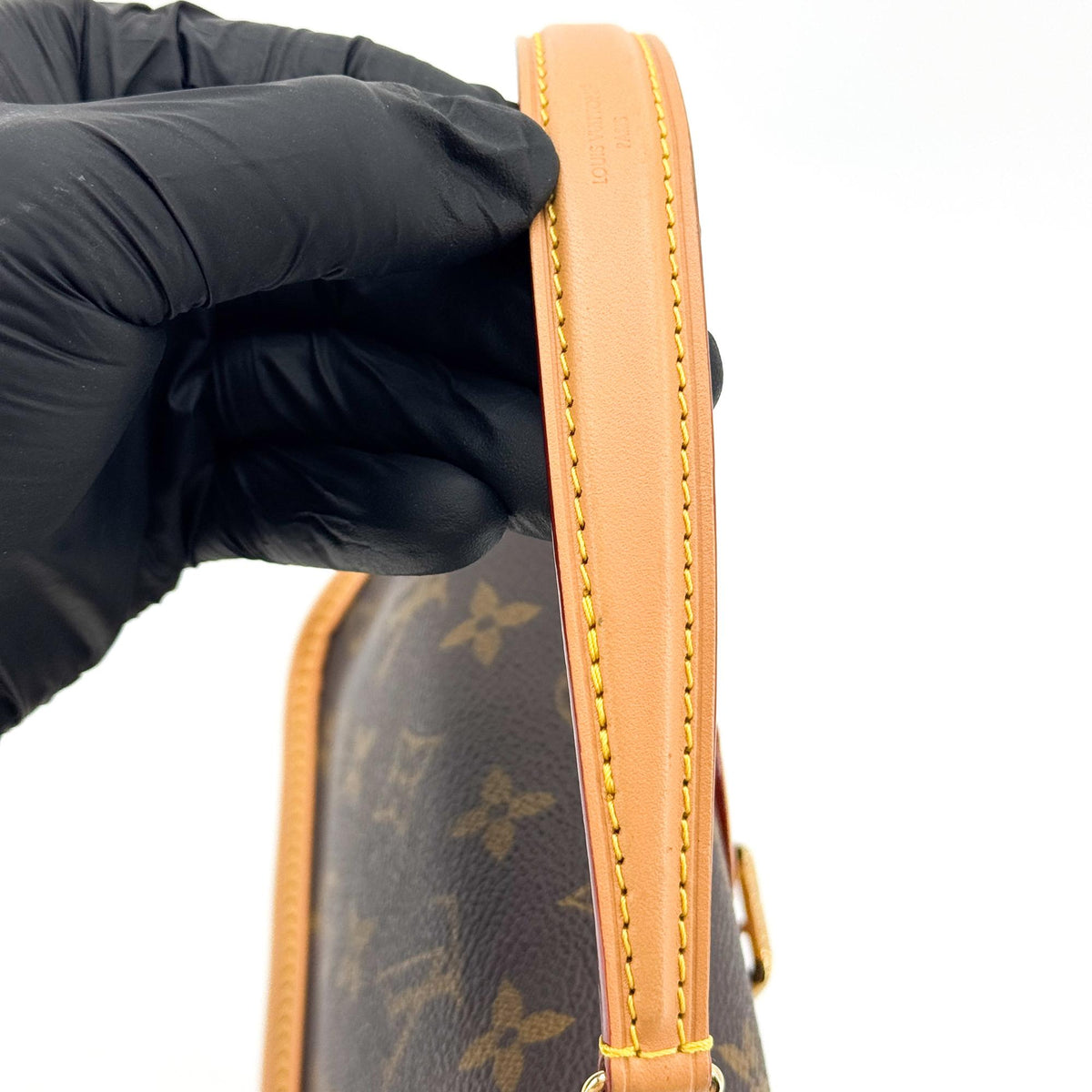 Louis Vuitton Nano Diane Monogram Bag