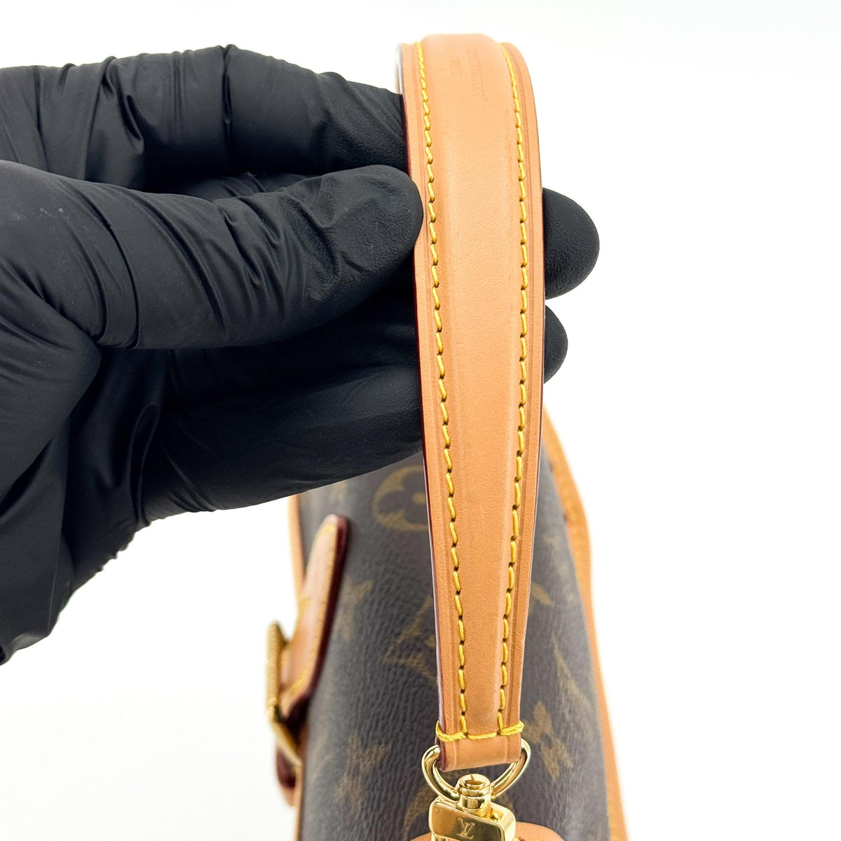 Louis Vuitton Nano Diane Monogram Bag
