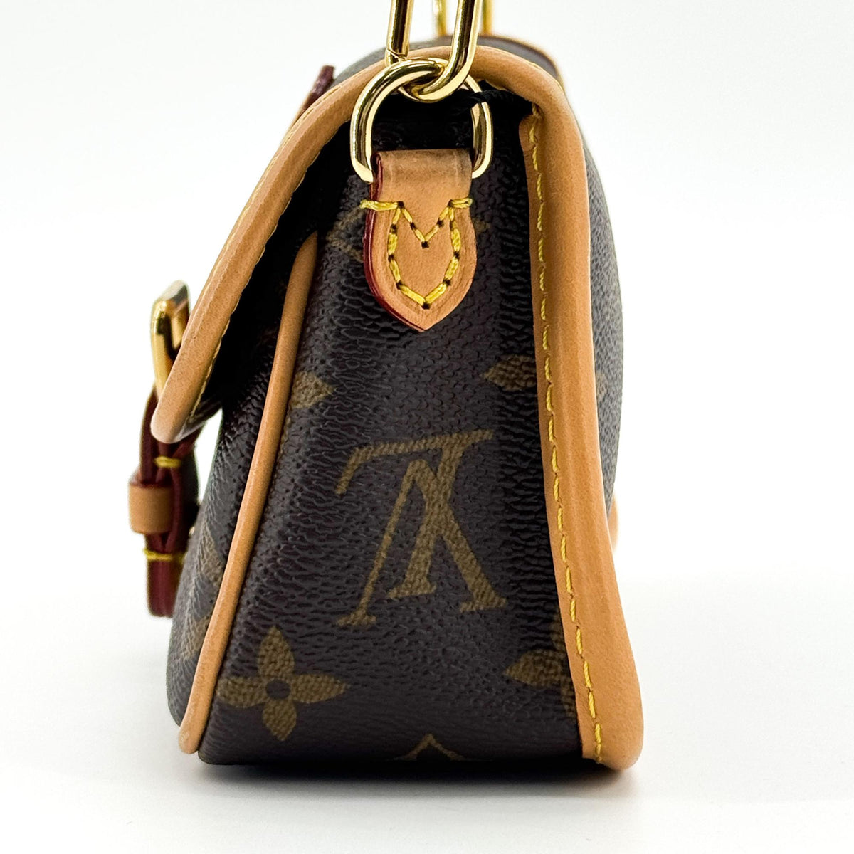 Louis Vuitton Nano Diane Monogram Bag