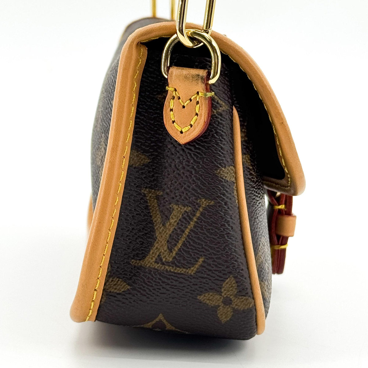 Louis Vuitton Nano Diane Monogram Bag