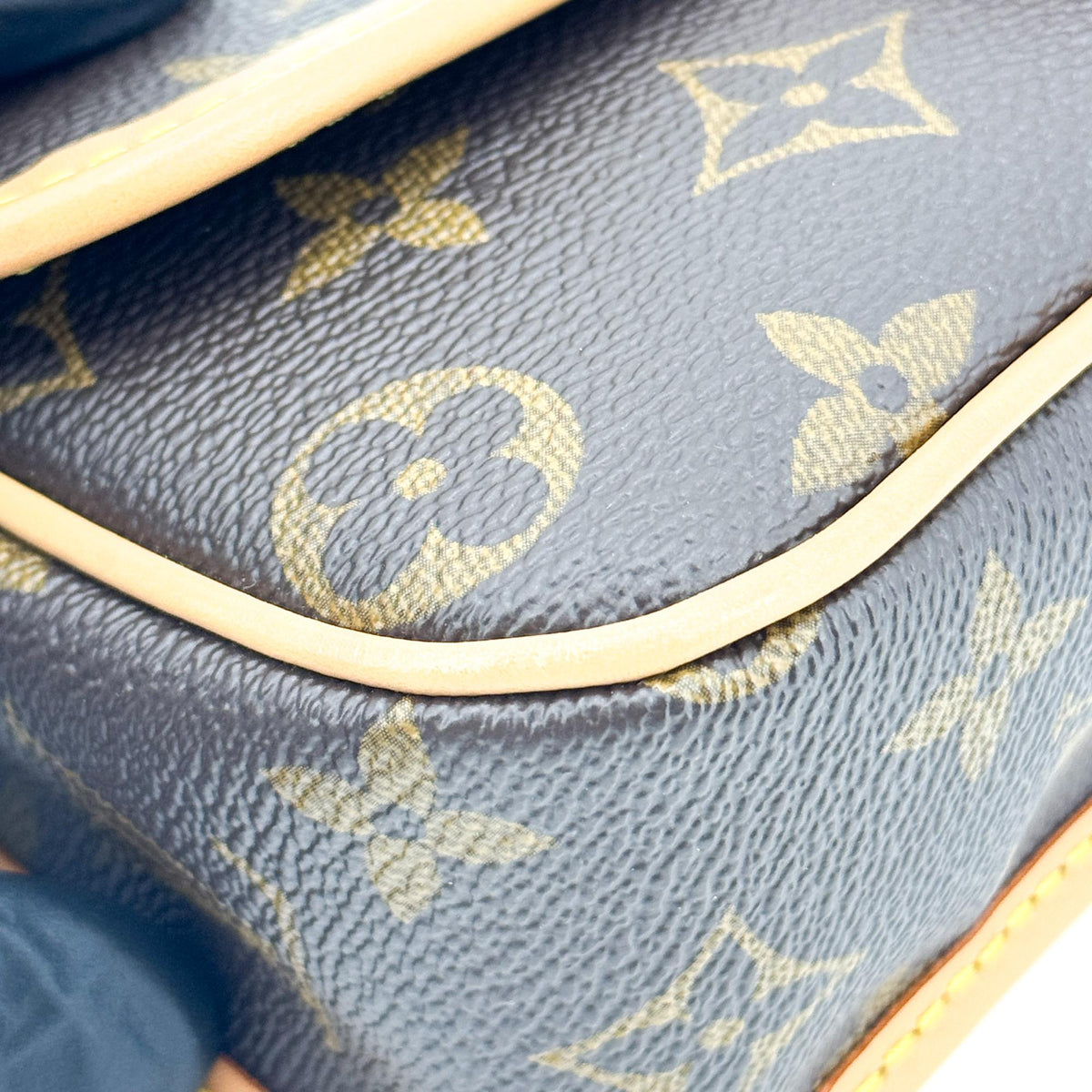Louis Vuitton Nano Diane Monogram Bag