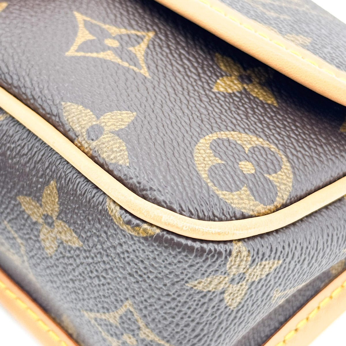Louis Vuitton Nano Diane Monogram Bag