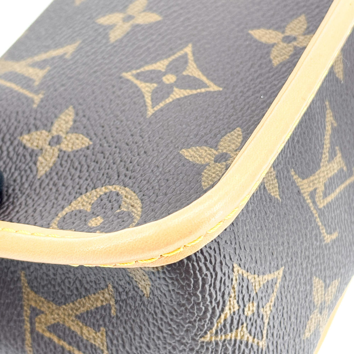 Louis Vuitton Nano Diane Monogram Bag