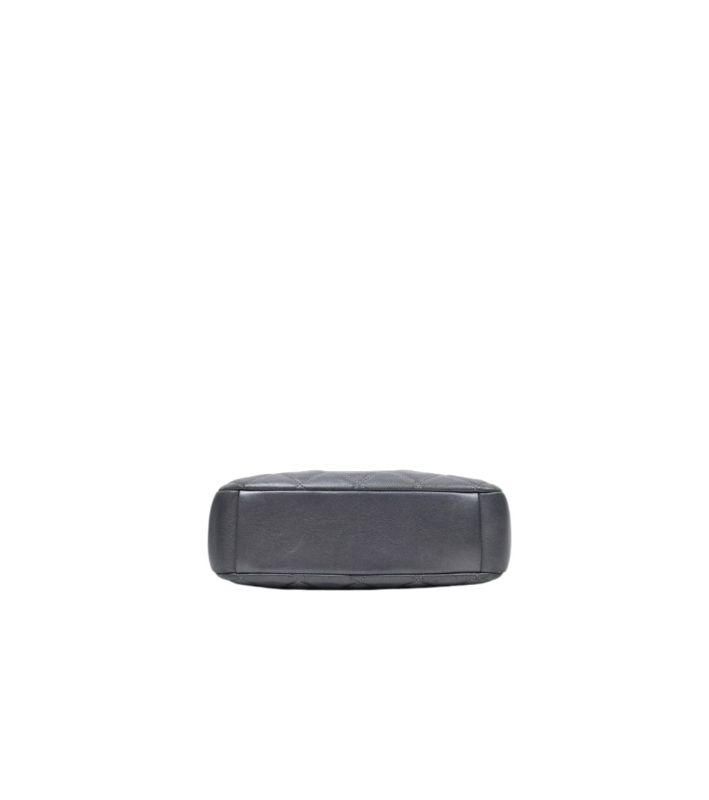 Chanel Metallic Silver Leather Camera Crossbody Bag