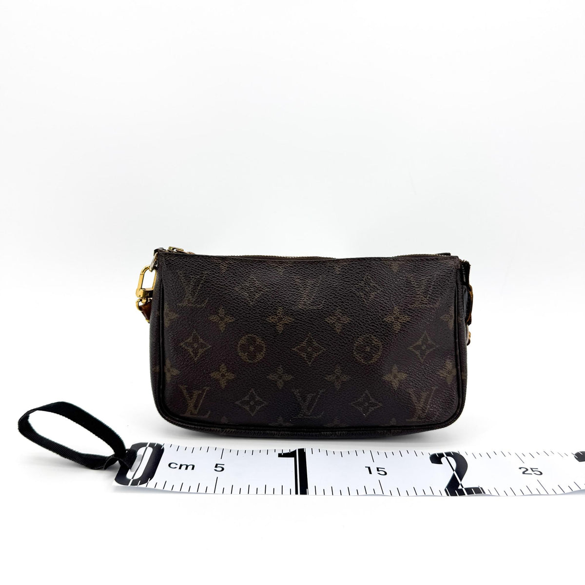 Louis Vuitton Monogram Pochette Accessoires