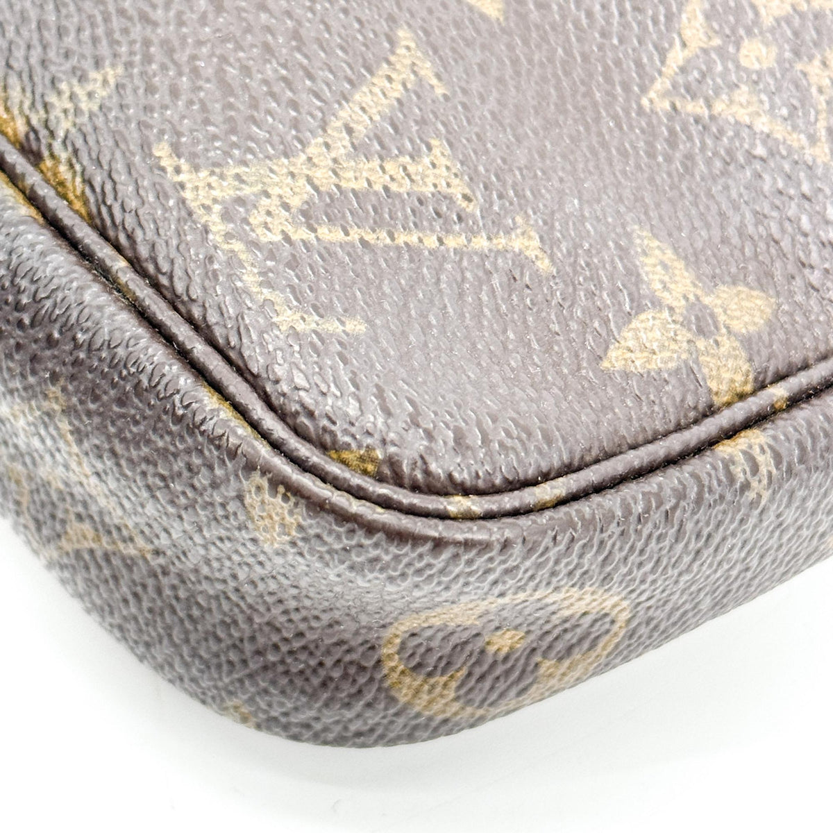 Louis Vuitton Monogram Pochette Accessoires