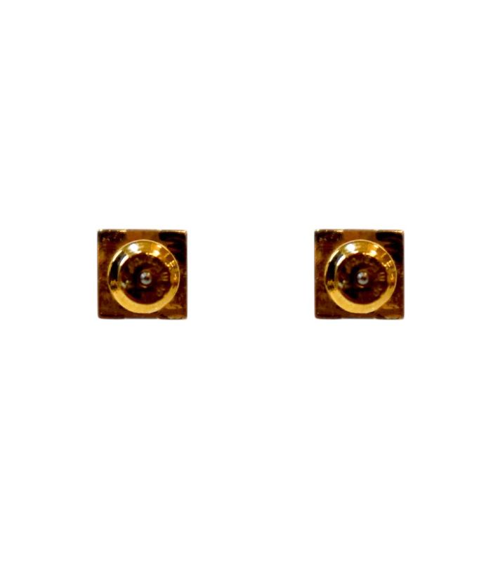 Hermès Pink Cage Gold Earrings