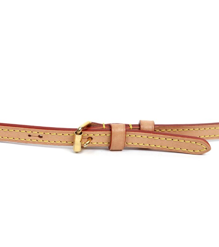Louis Vuitton Monogram Rockit 2WAY Bag