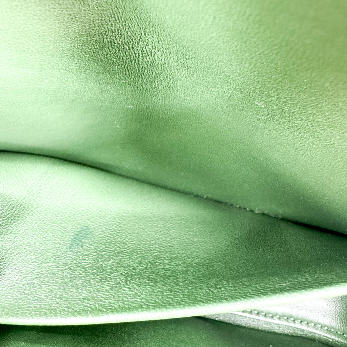 Celine Shiny Calfskin Triomphe Shoulder Bag Green Gold Hardware