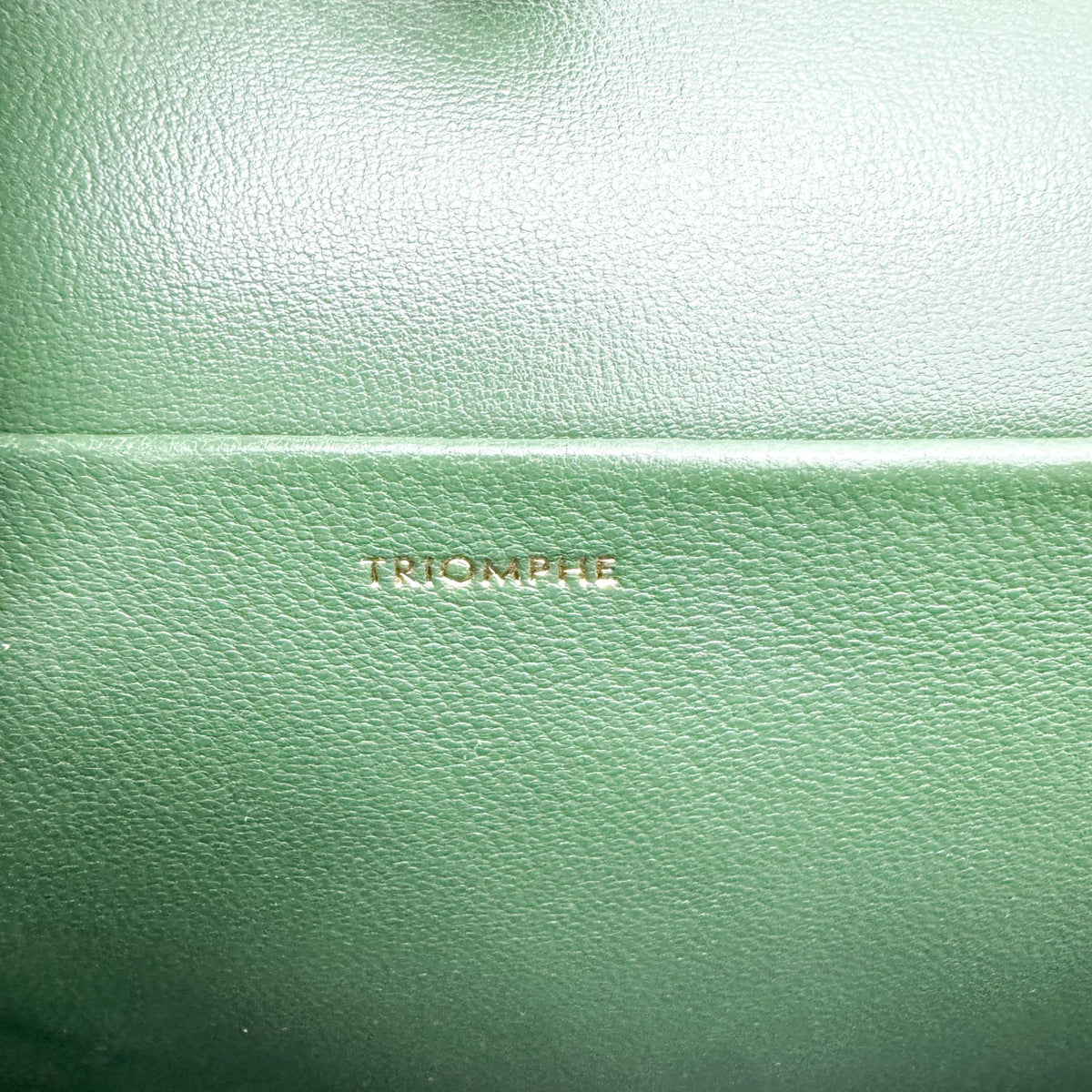 Celine Shiny Calfskin Triomphe Shoulder Bag Green Gold Hardware