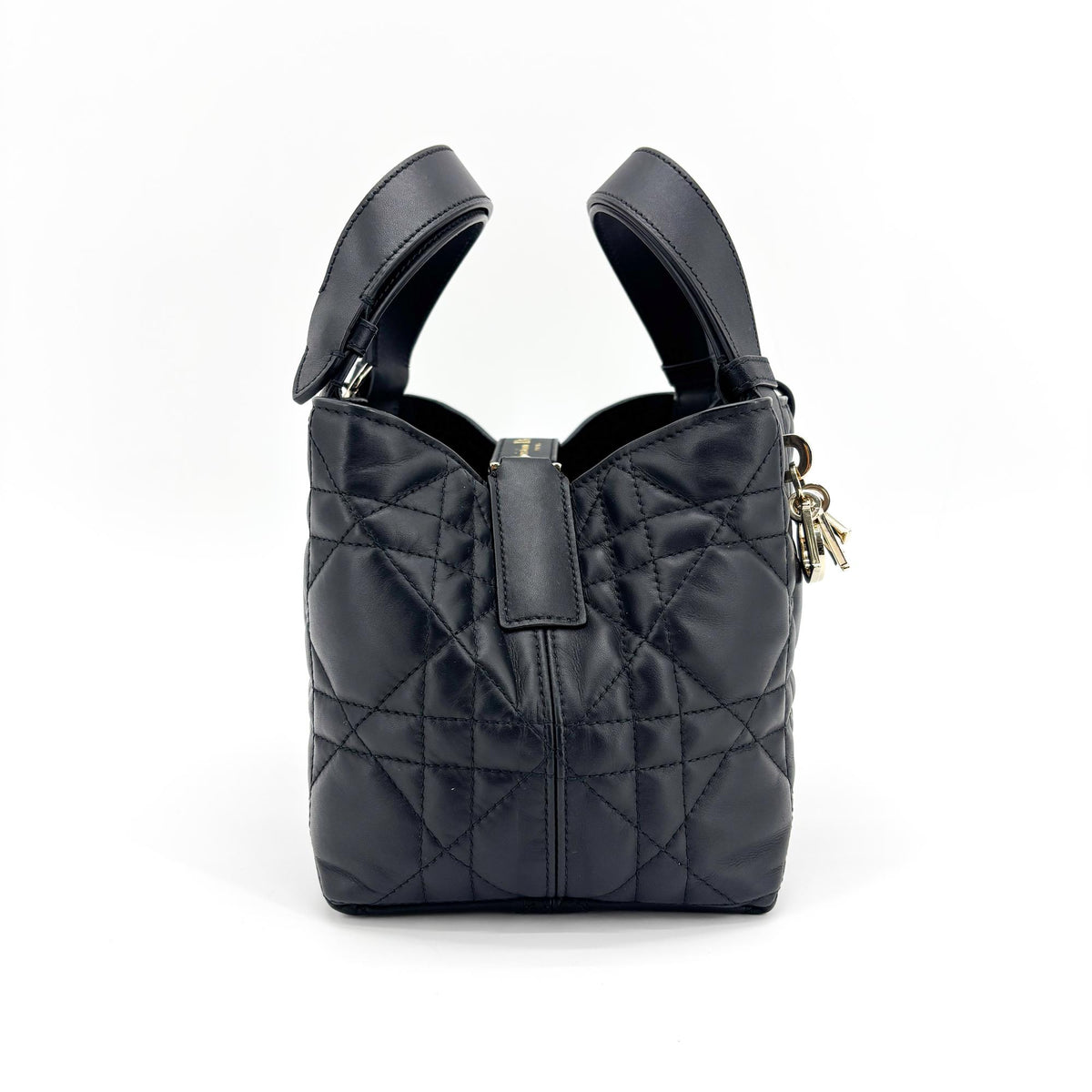 Dior Toujours Medium Bag