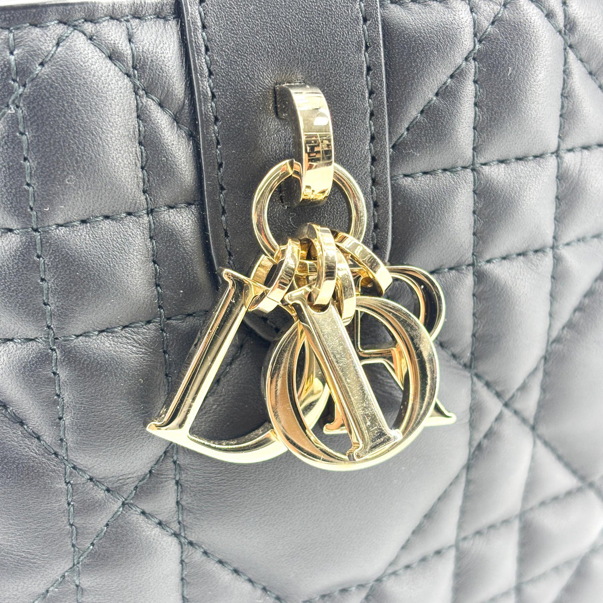 Dior Toujours Medium Bag