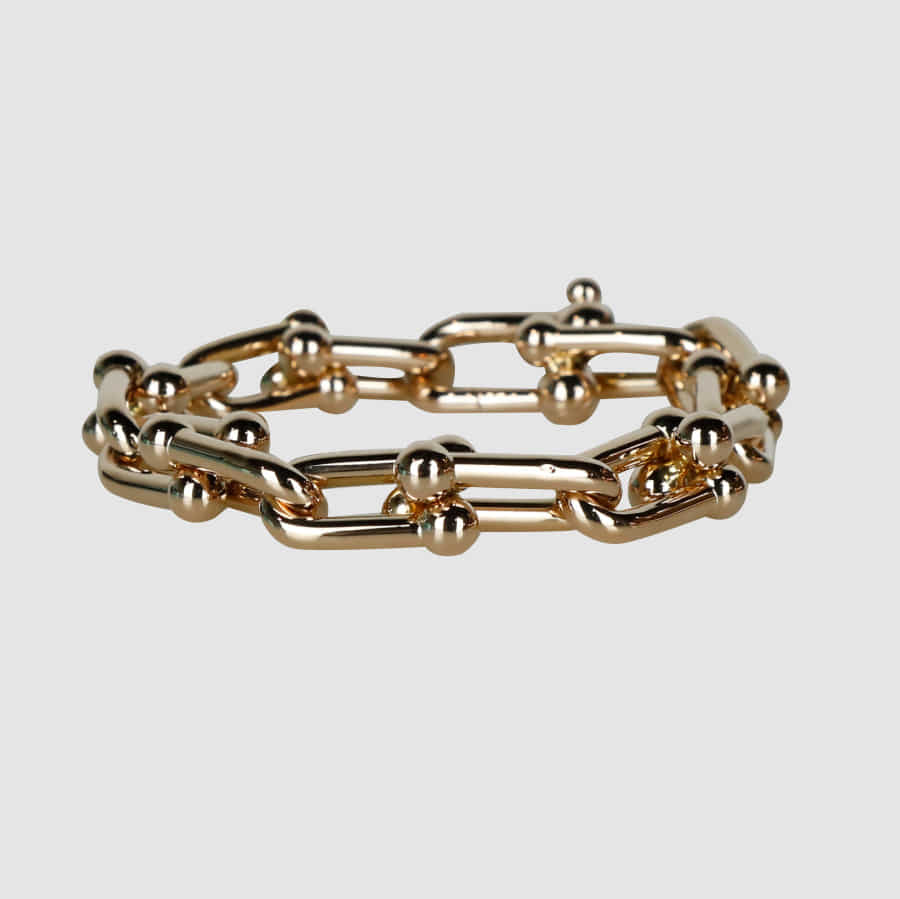 17 Ann Co. Hardware Large Link Bracelet