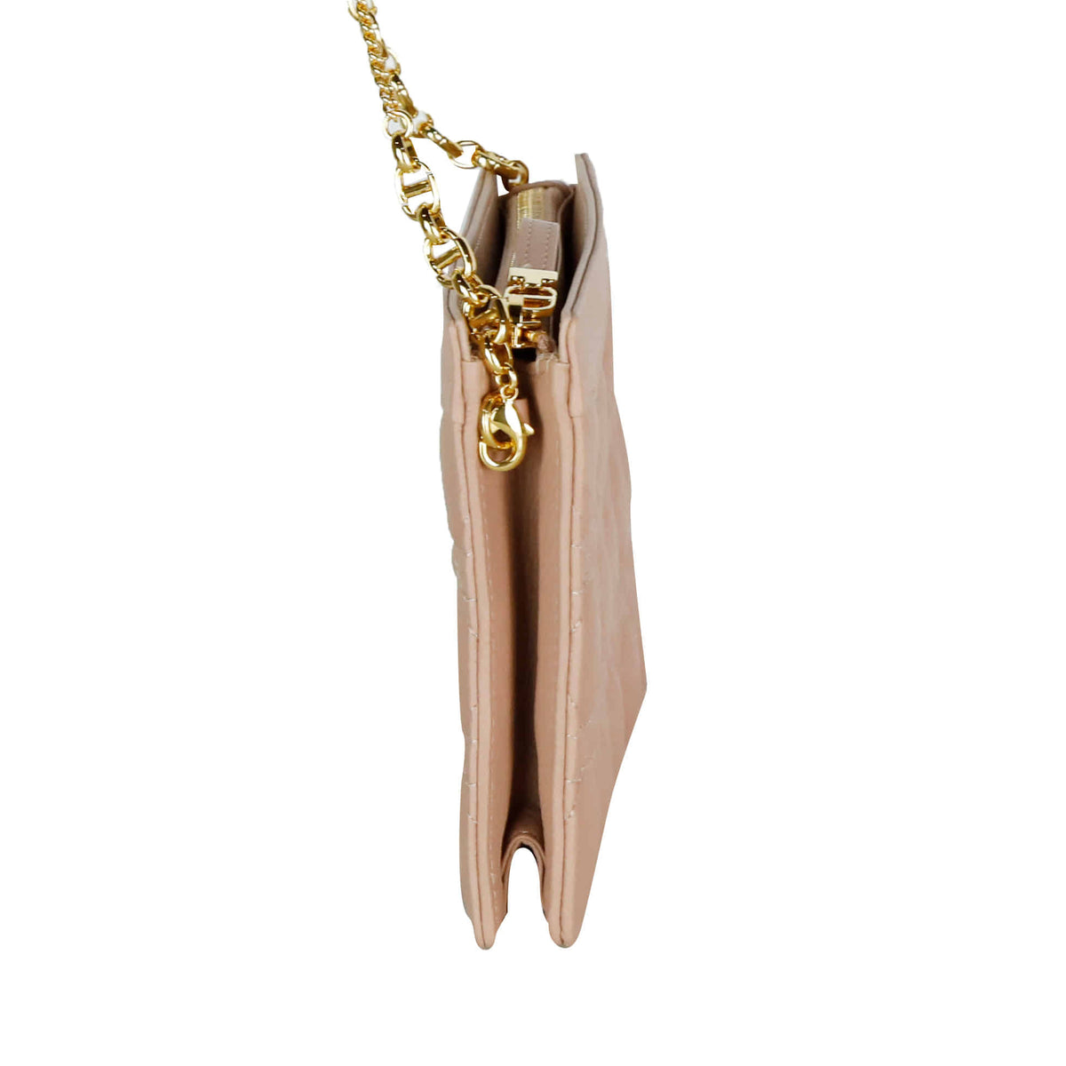 Caro Everyday Pouch Chain Crossbody Bag
