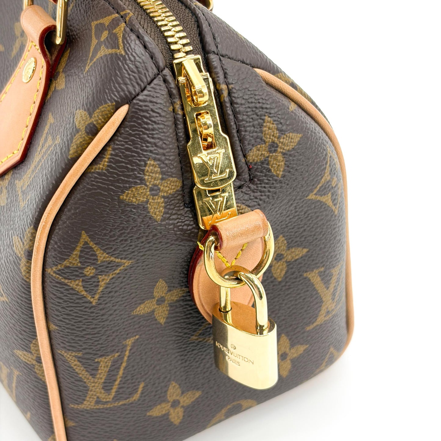 Louis Vuitton Speedy Bandolier 20 Monogram