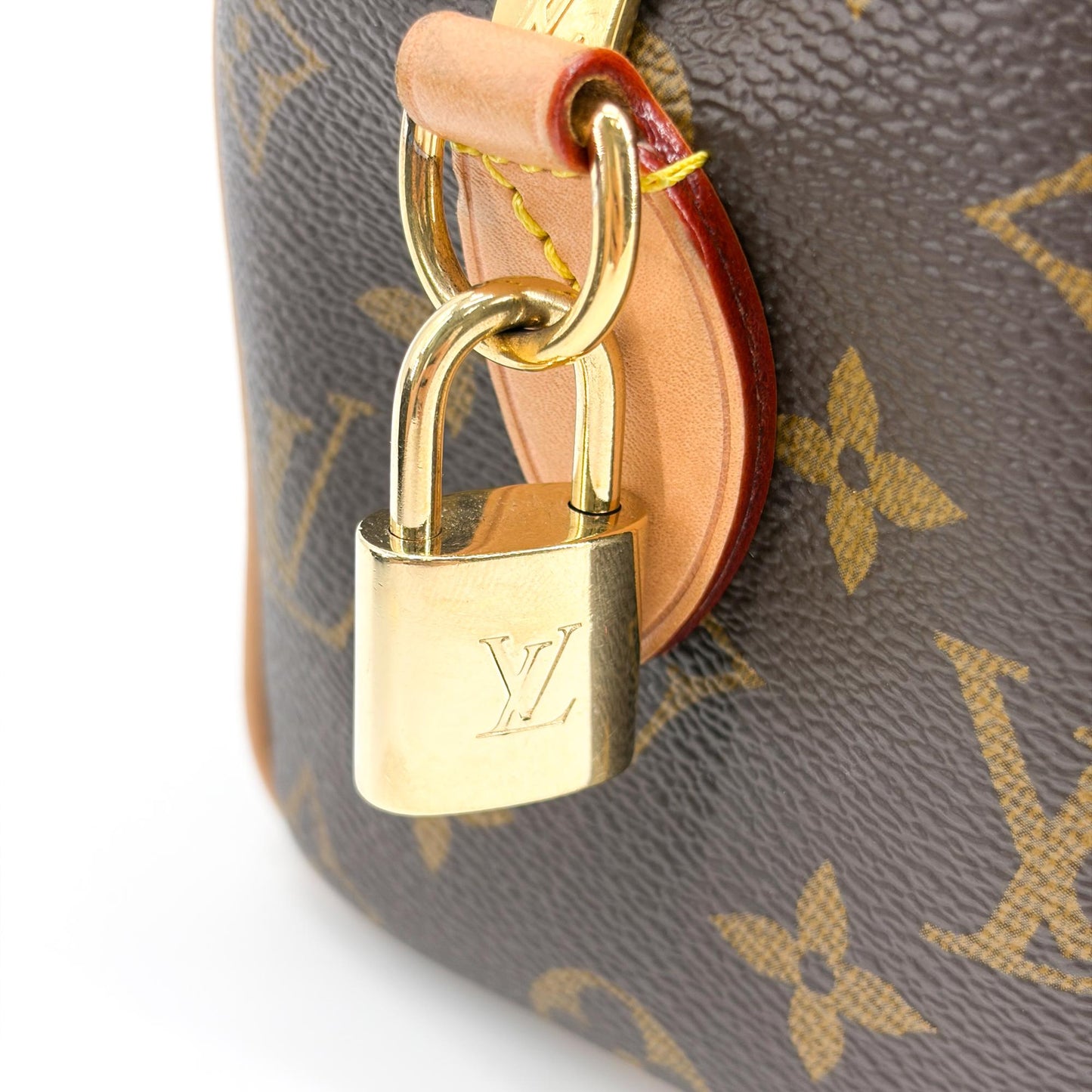 Louis Vuitton Speedy Bandolier 20 Monogram