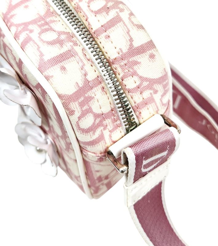 Dior Pink Oblique Trotter