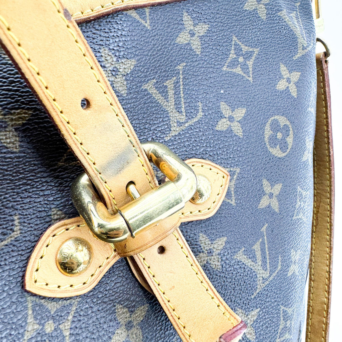 Louis Vuitton Monogram Palermo PM