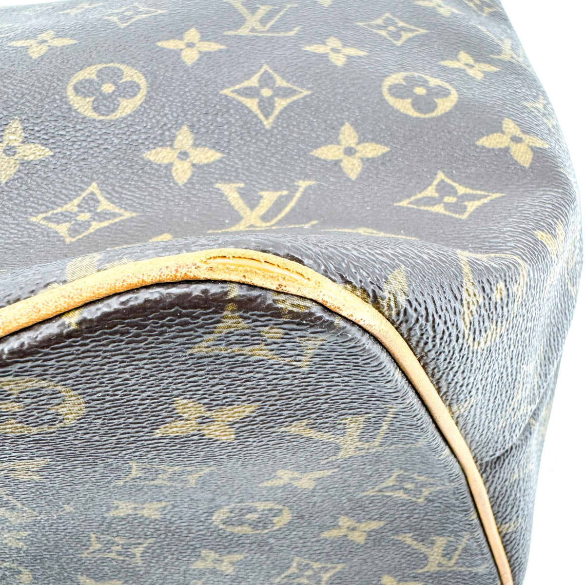 Louis Vuitton Monogram Palermo PM