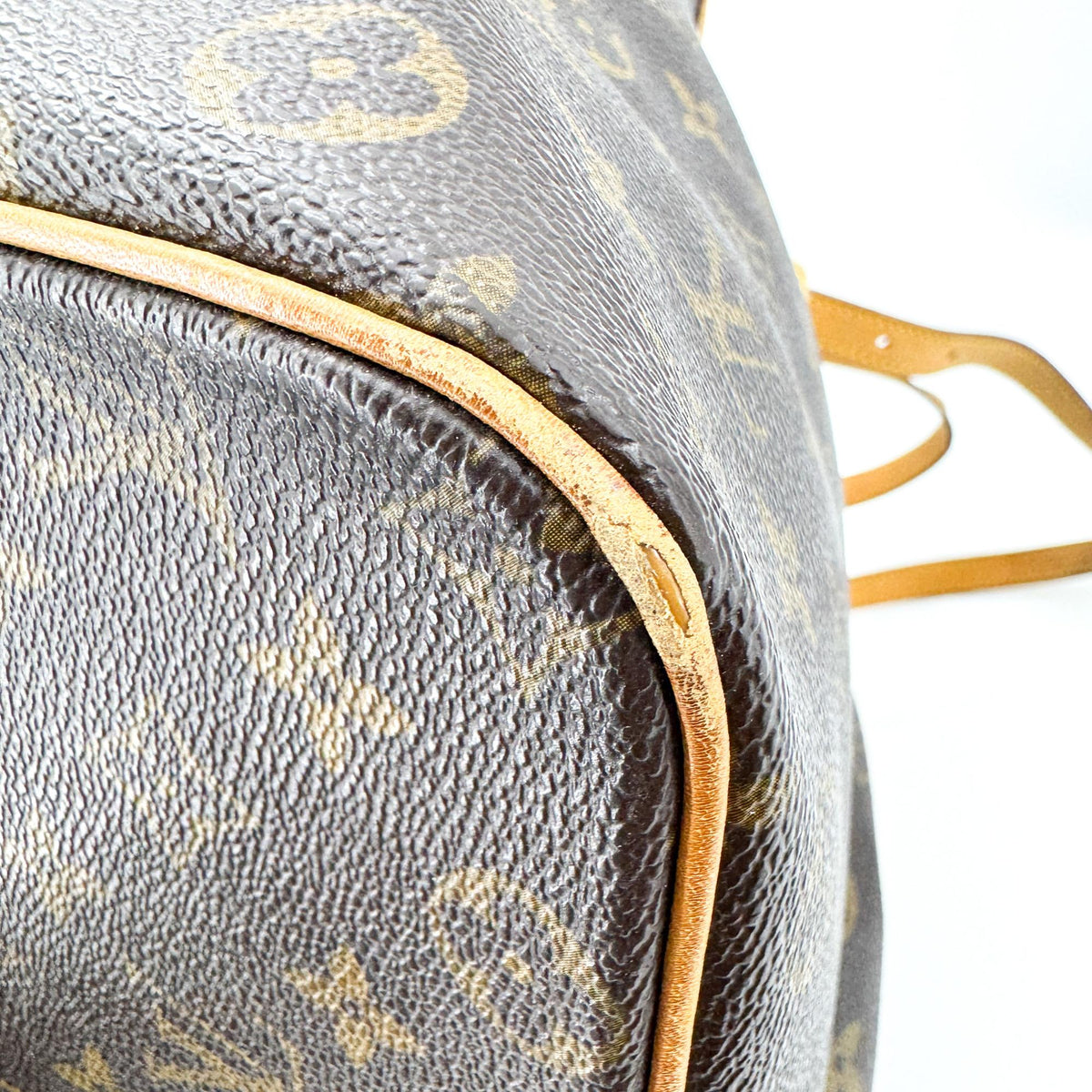 Louis Vuitton Monogram Palermo PM