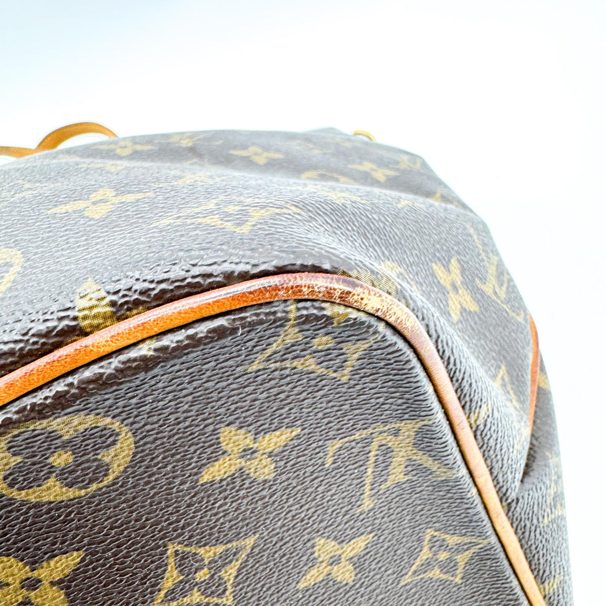 Louis Vuitton Monogram Palermo PM