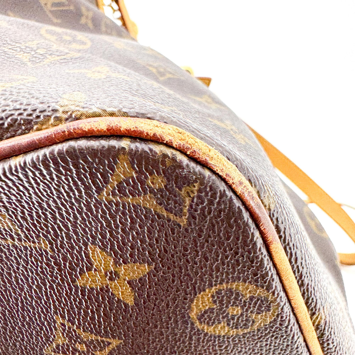 Louis Vuitton Monogram Palermo PM
