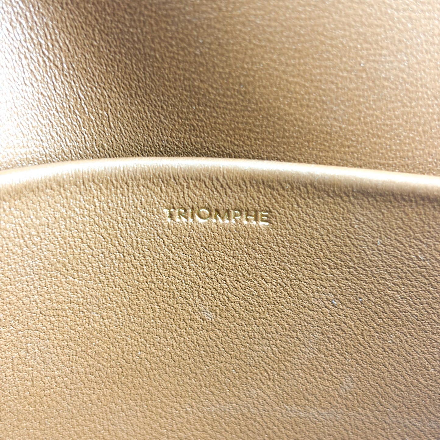 Celine Triomphe Canvas Crossbody Bag Triomphe Tan