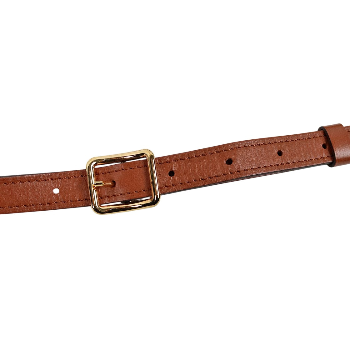 Louis Vuitton Monogram Loop GM