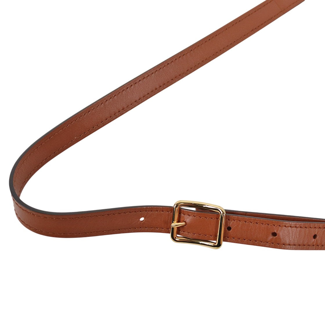 Louis Vuitton Monogram Loop GM