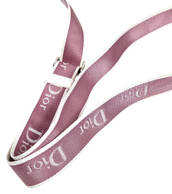 Dior Pink Oblique Trotter