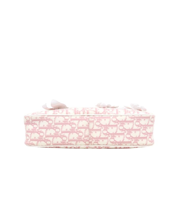 Dior Pink Oblique Trotter